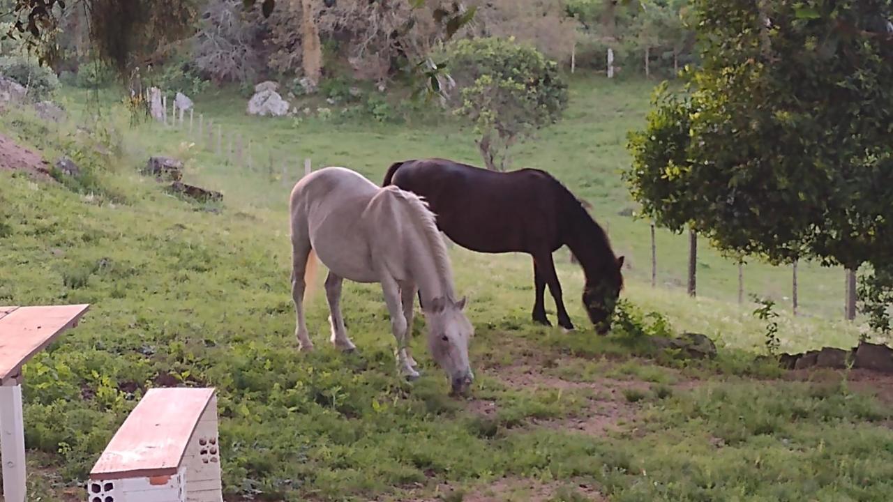 Casa & Chale Em Morro Redondo Rs别墅 外观 照片